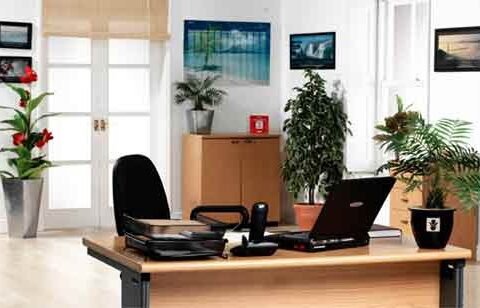 5 mẹo phong thủy thăng chức giúp sự nghiệp hanh thông