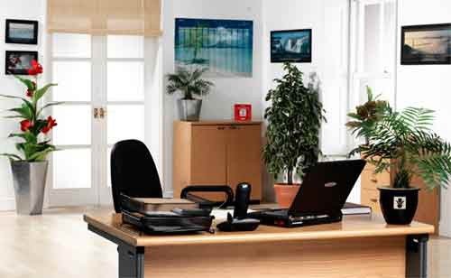 5 mẹo phong thủy thăng chức giúp sự nghiệp hanh thông