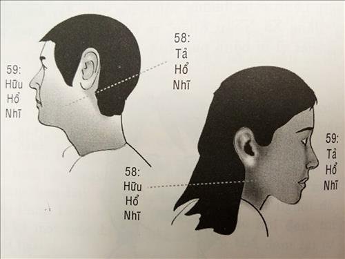 Vận số tuổi 58-59