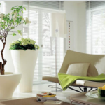 7 nguyên tắc phong thủy đặt cây trong nhà giúp gia đạo bình an