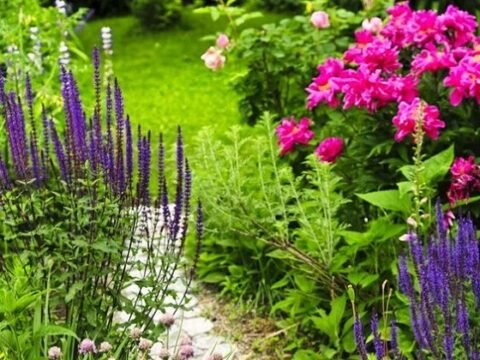 Bật mí bí quyết phong thủy tốt đã thất truyền từ ngàn năm