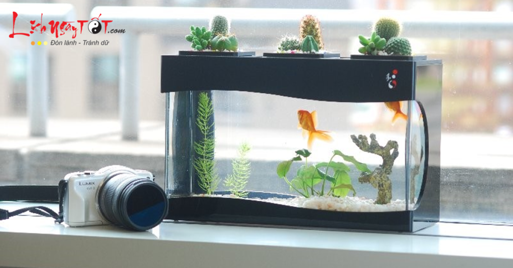 3 vị trí đặt bể cá phong thủy sai lầm dễ khiến gia chủ thất nghiệp
