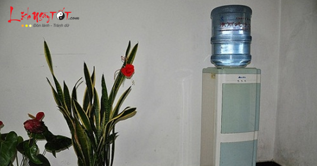Cách đặt bình uống nước phong thủy giúp gia chủ chiêu tài đón lộc