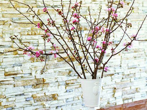 Cắm hoa ngày Tết đúng cách để thu hút tài lộc và phong thủy