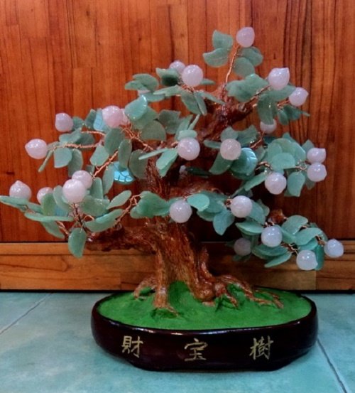 Ý nghĩa phong thủy của cây nho đá quý hút tài lộc