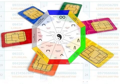 Chọn đuôi số điện thoại hợp mệnh giúp 12 con giáp hút tài lộc