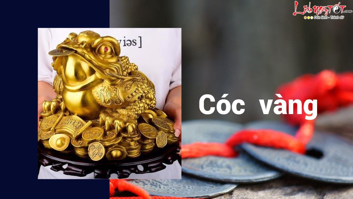 Cóc vàng