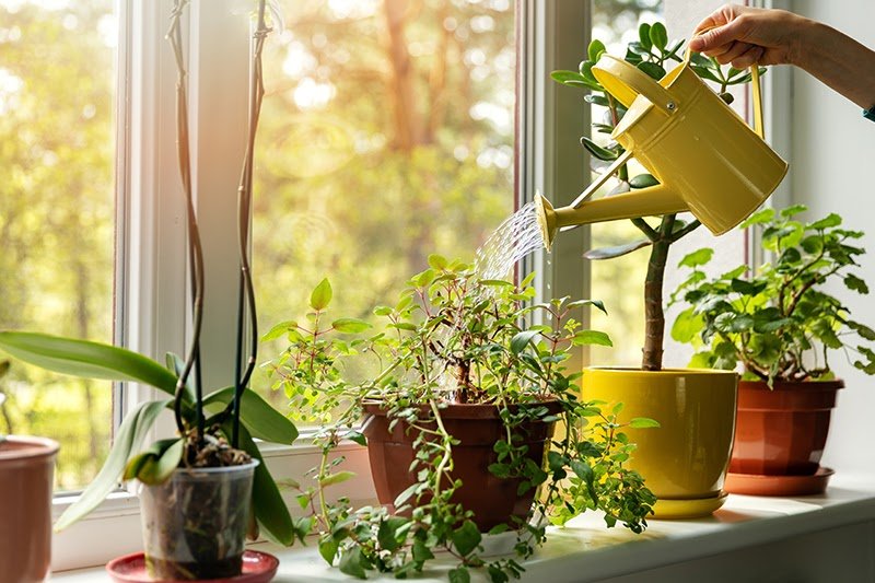 3 vật phẩm phong thủy cửa sổ giúp chiêu tài, đón vận may
