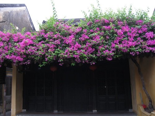 Cách hóa giải hung sát nhà ở giúp gia trạch bình an
