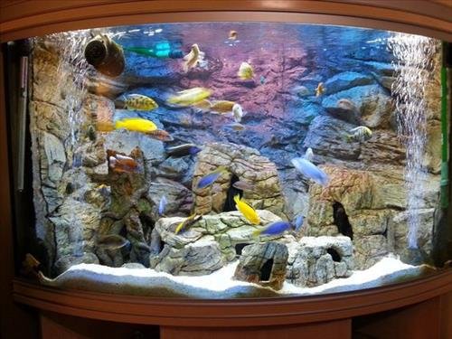 Hòn non bộ, nuôi cá trong nhà người mệnh Hỏa Hon non bo, nuoi ca trong nha nguoi menh Hoa