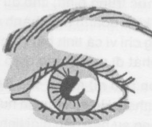 Tướng mí mắt nâng ở giữa
