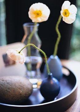 Tận dụng ánh sáng trong phong thủy