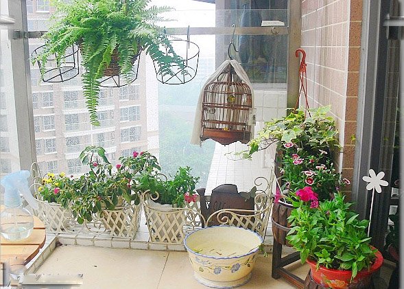 Tận dụng ánh sáng tự nhiên cho căn hộ