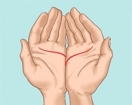 Khám phá ý nghĩa đường Định Mệnh trong lòng bàn tay