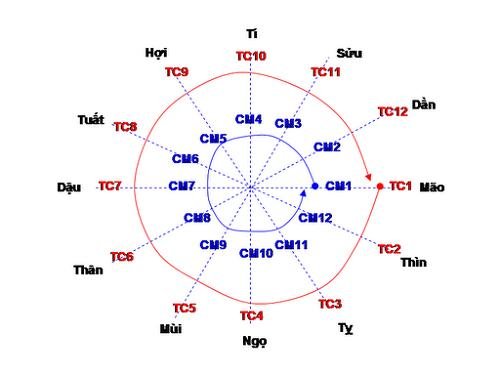 Luận giải sao Thiên Cơ trong tử vi