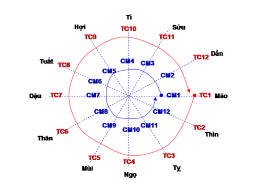 Luận giải sao Thiên Cơ trong tử vi: Ý nghĩa và đặc điểm