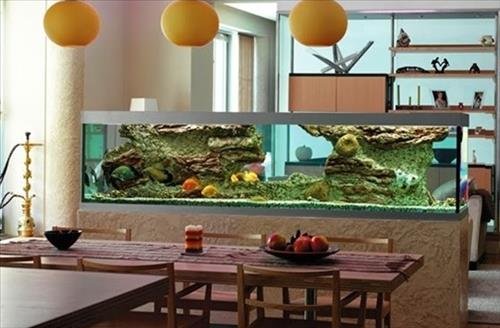 Mệnh Mộc nuôi cá gì