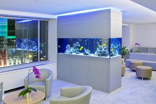 Mẹo phong thủy thúc đẩy tình cảm, hôn nhân cho 12 con giáp hình ảnh