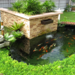 Mẹo bài trí nhà cửa chuẩn phong thủy để tài lộc ùn ùn kéo đến