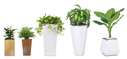 Những sai lầm khi dùng vật phẩm phong thủy phổ biến cần tránh