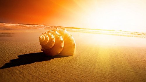 Thân Mệnh đồng cung: Đặc điểm lá số của người thanh nhàn