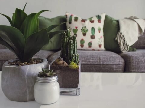8 Cách thanh lọc năng lượng xấu trong nhà cực đơn giản