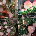 Trái đào trong phong thủy: Bí quyết tăng sức khỏe và tiền bạc