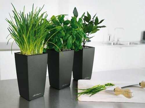 Thay đổi phong thủy nhà ở dịp Trung Thu