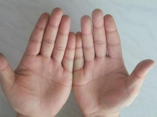 Đường tình cảm trong lòng bàn tay bật mí gì về vận mệnh của bạn?