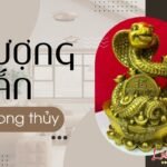 Tượng Rắn phong thủy: Vật phẩm chiêu tài, bảo vệ và tái sinh