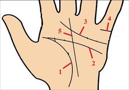 Xem đường Trí Tuệ trong lòng bàn tay tiết lộ điều gì?