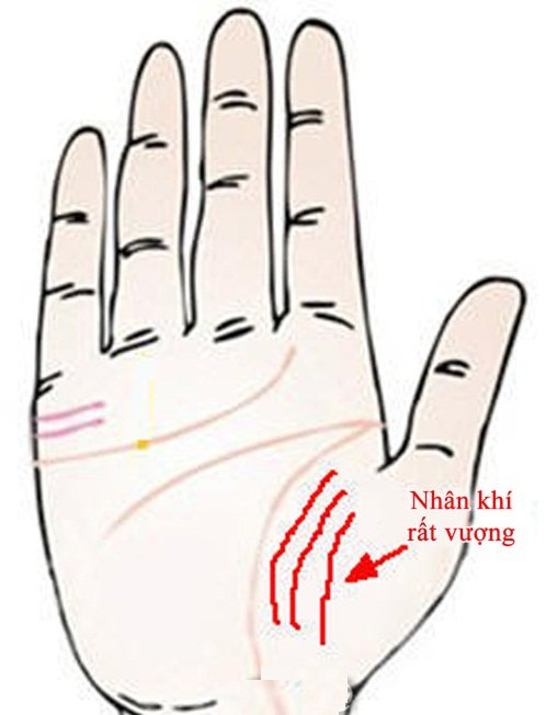 Xem chỉ tay đoán vận mệnh: Cách nhận biết đường nhân duyên tốt đẹp