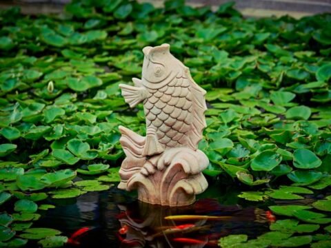 Ý nghĩa tâm linh của cá: Biểu tượng của sự trù phú và dòng chảy nhân quả
